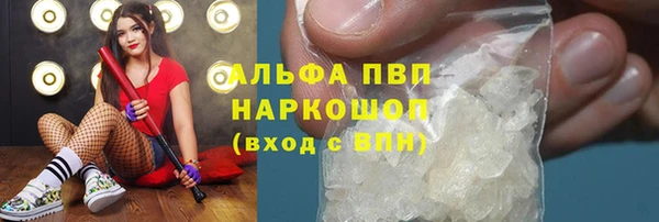 эйфоретик Богданович