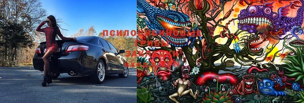 эйфоретик Богданович