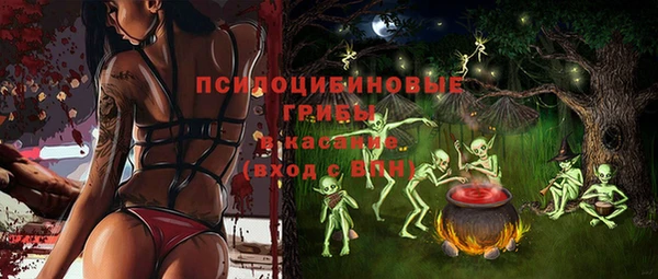 крисы Богородск