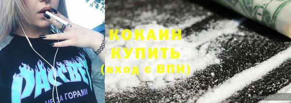 эйфоретик Богданович