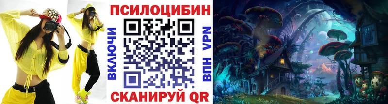 Галлюциногенные грибы Psilocybe  цены   Каневская 
